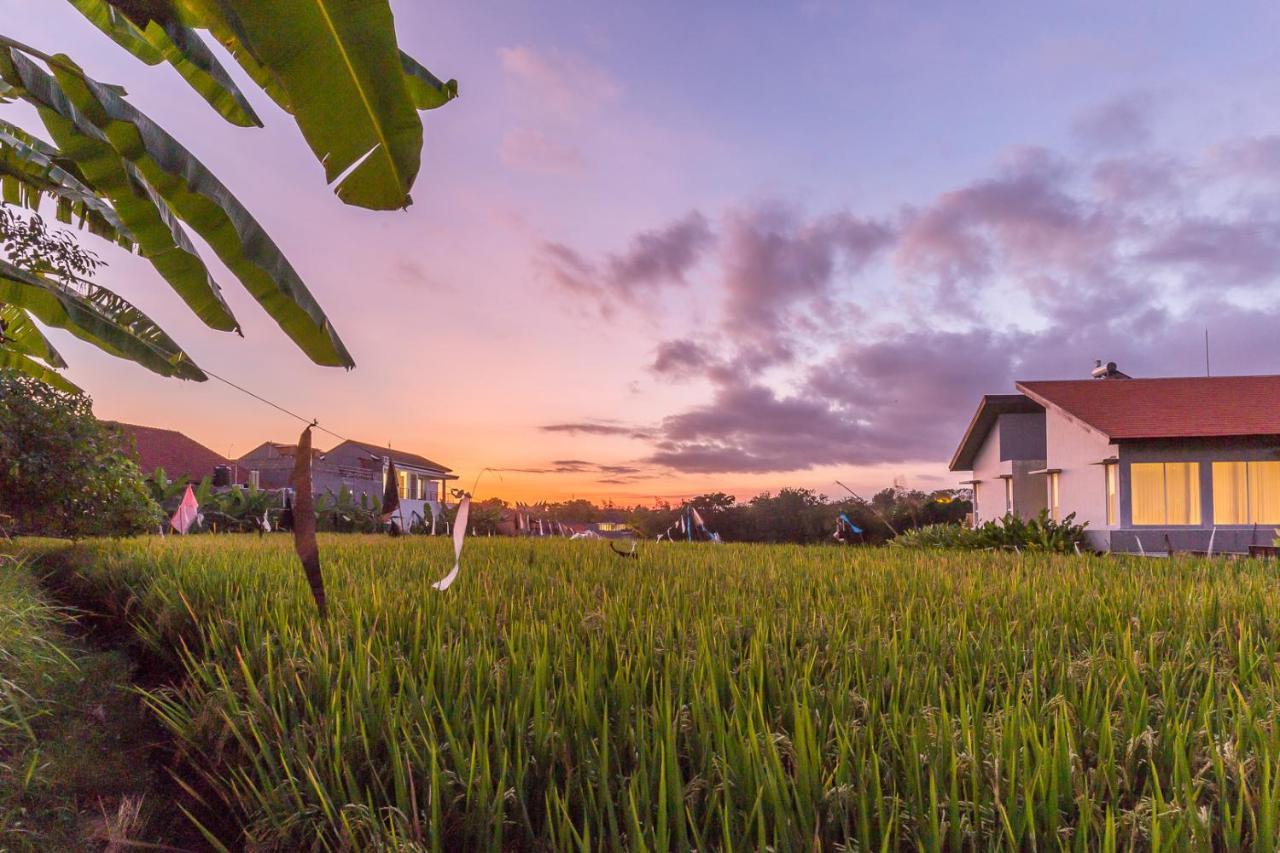 Charming Ricefield View 3 Bedrooms Villa Canggu Dış mekan fotoğraf